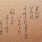 Z̐因u쏬 áv